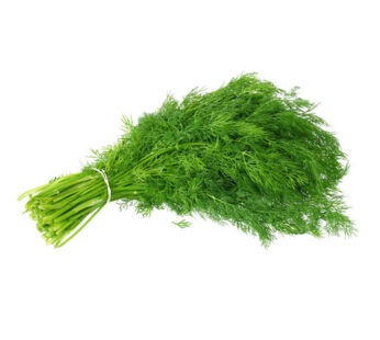 Dill